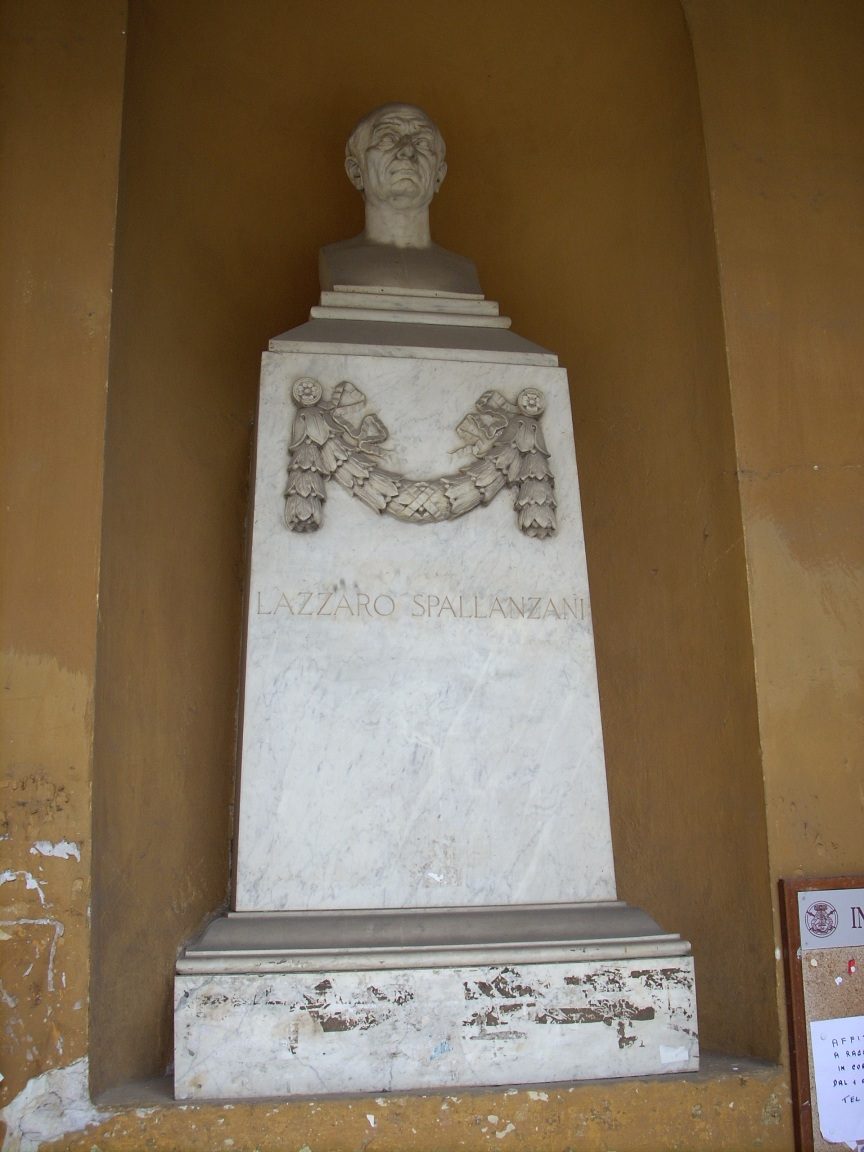 Lazzaro Spallanzani monument, University, Pavia - 1.jpg